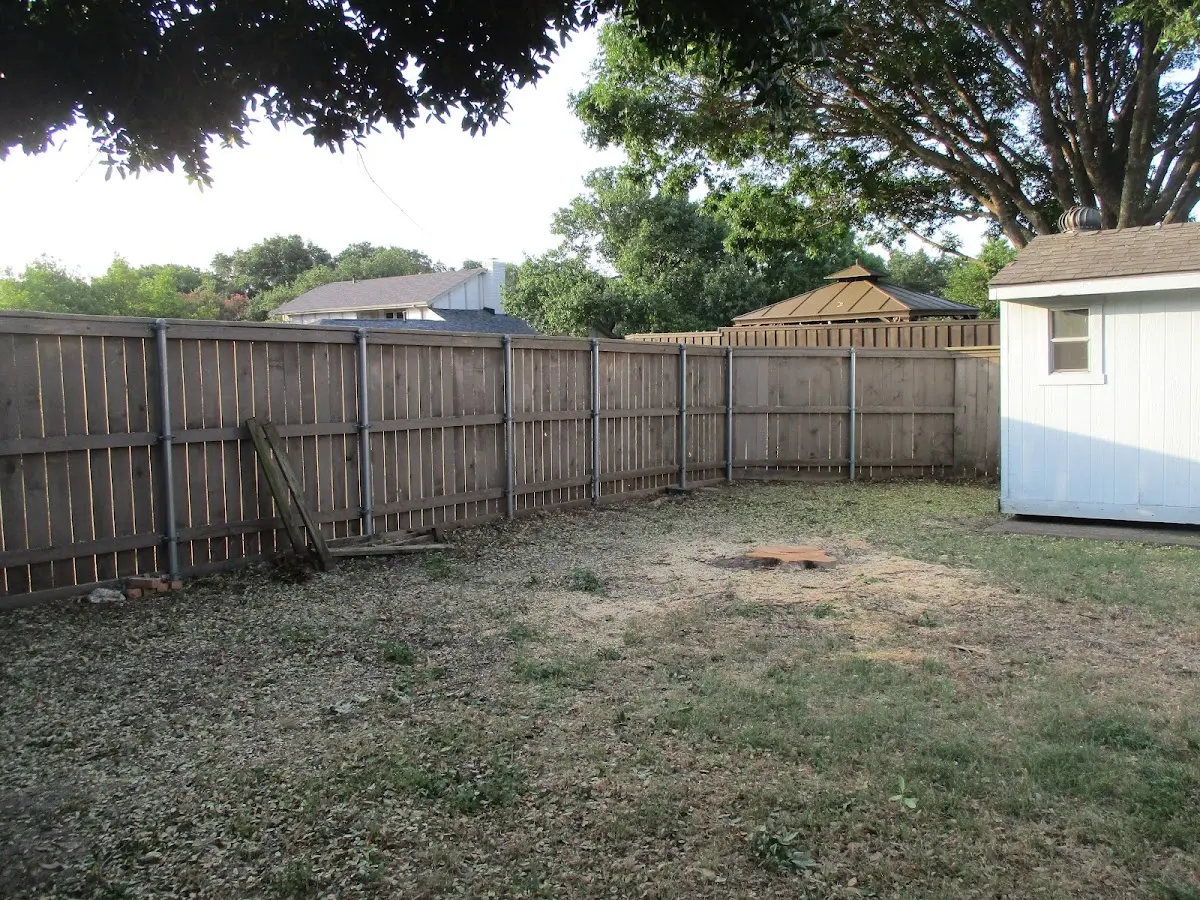 Cleared yard after professional tree removal in Guffey